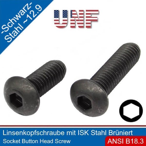 Vite inox testa - vite,